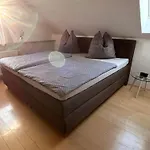 Am Muehlenwanderweg Straufhain